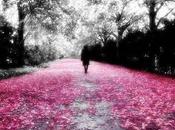 camino