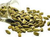 Cardamomo, especia aliada estómago