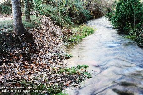 Río que sube o baja