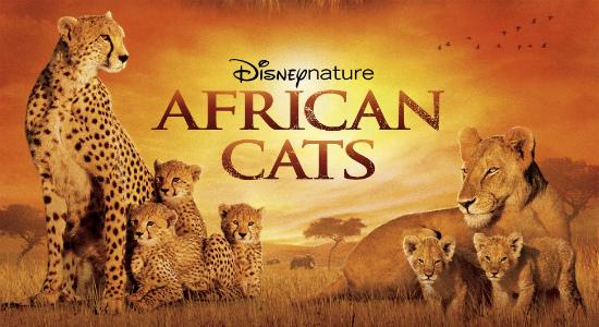 Son 39 las canciones que compiten por el Oscar