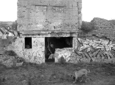 Liliwenn, belleza con acento francés