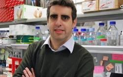 Manel Esteller, investigador del IDIBELL, elegido académico de la Real Academia Nacional de Farmacia