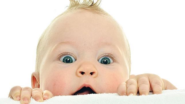 Los bebés pueden recordar cosas escondidas pero no asimilan detalles