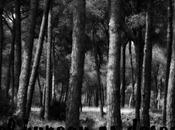 bureau desea felices fiestas