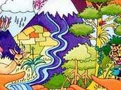 Derechos naturaleza hombre