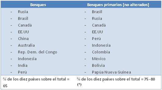 2011, Año Internacional de los Bosques
