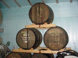 Garriguella Criança 2008 ( Cooperativa de Garriguella - D.O.Empordà)