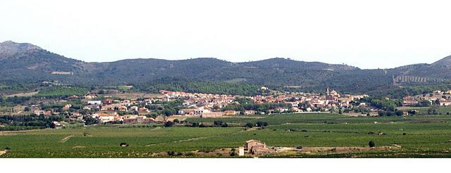 Garriguella Criança 2008 ( Cooperativa de Garriguella - D.O.Empordà)