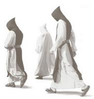 Westvleteren Dark 8 y 12