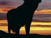 Clan loba, Maite Carranza