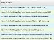 ¿Cómo recupera borra para siempre archivos?