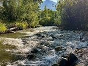 Pesca cerca Parque Nacional Yellowstone: consejos, técnicas dónde