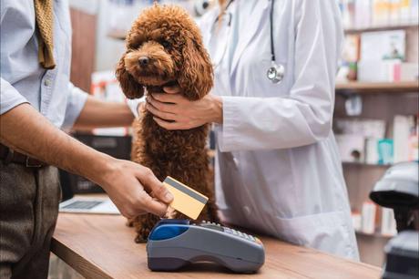 Los pagos aplazados ayudan a mantener a las mascotas sanas sin preocuparse Los pagos aplazados ayudan a mantener a las mascotas sanas sin preocuparse