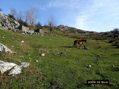 El Porru Uberdón-Comeya-Mayadas de Onís (Soñín, Brañarredonda, Parres, Arnaedu, La Güelga, Belbín)
