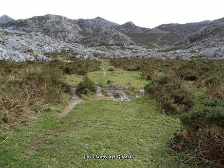 El Porru Uberdón-Comeya-Mayadas de Onís (Soñín, Brañarredonda, Parres, Arnaedu, La Güelga, Belbín)