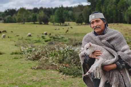 Con vivo Smartphone puedes ganar un V29 Retratos de Chile