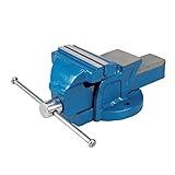 Silverline Tools 633792 - Tornillo de banco 4,5 kg (100 mm)