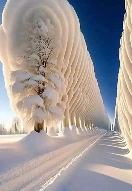 ¿Por qué Hamás lanzó su ataque contra Israel?