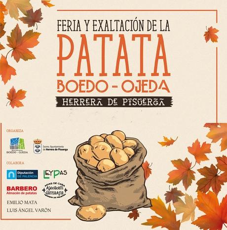 Feria de la patata, Boedo-Ojeda