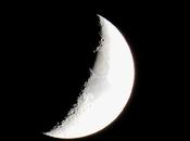 Cuarto creciente peluquería.