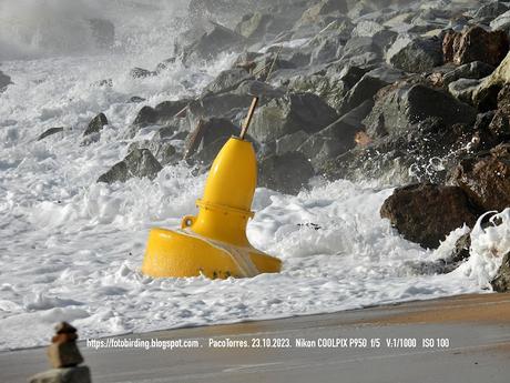 La boya amarilla del mar de Sant Adrià La boya amarilla del mar de Sant Adrià