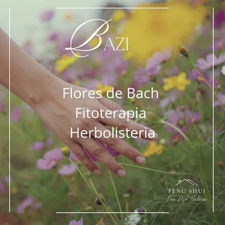 Tratamientos naturales Elemento Madera BaZi