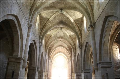 Edén en Iranzu, Navarra Edén en Iranzu, Navarra