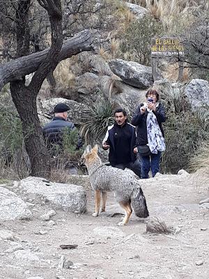 Una galería propia Una galería propia