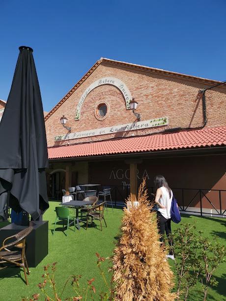 Escapada de Enoturismo con Protos Escapada de Enoturismo con Protos