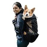 Galatée Mochila para Transporte De Perros, Mochila para Perros Ajustable Portátil, Mochila para Transporte De Mascotas Ventilada, Mochila para Mascotas para Caminar Escalada Al Aire Libre(XL, Negro)