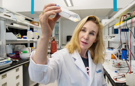 Sheena Josselyn, neurocientífica: “Es muy sencillo borrar un recuerdo, con las herramientas apropiadas”