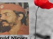 Etnicidad Guerrilla