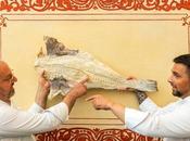 mejor bacalao come Hotel hasta diciembre!