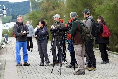 DE PAJAREO EN COLINDRES