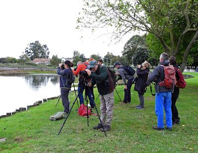 DE PAJAREO EN COLINDRES