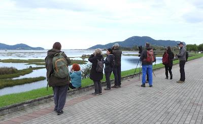DE PAJAREO EN COLINDRES