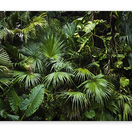 murando Fotomurales autoadhesivo Efecto 3D Optica 245x175 cm Papel Pintado Decoración de Pared Murales Pegatina decorativos adhesivos 3d moderna de Diseno Fotográfico Tropical Monstera b-B-0312-a-a