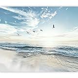murando Fotomurales autoadhesivo Mar Playa 343x256 cm Papel Pintado Decoración de Pared Murales Pegatina decorativos adhesivos 3d Fotográfico Cielo Pájaros Paisaje Naturaleza b-B-10023-a-a