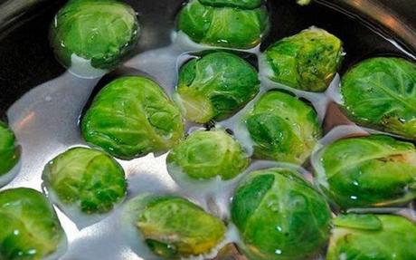 Coles de bruselas con gambas y mejillones