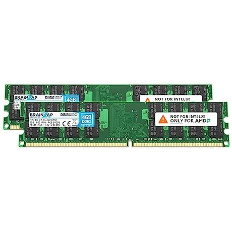 BRAINZAP Memoria RAM DDR2 DIMM PC2-6400U 2Rx16 800 MHz 1,8 V CL6 de 8 GB (2 módulos de 4 GB)