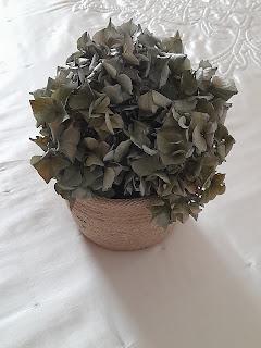 RECICLAR HORTENSIAS PARA EL RETO 