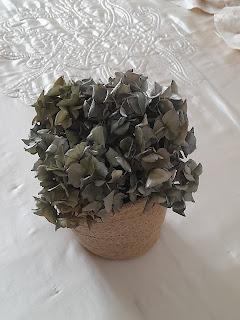 RECICLAR HORTENSIAS PARA EL RETO 