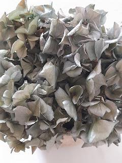 RECICLAR HORTENSIAS PARA EL RETO 