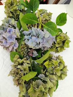 RECICLAR HORTENSIAS PARA EL RETO 