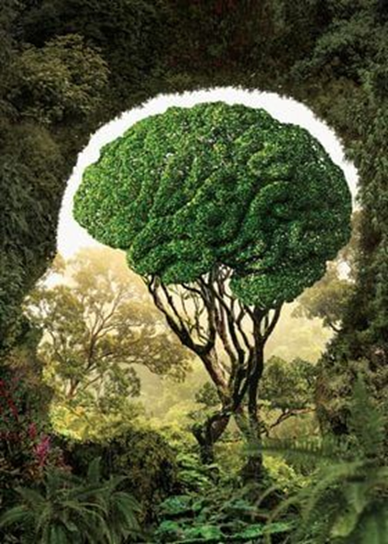 CRECEMOS HACIA AFUERA (si nada lo interrumpe)