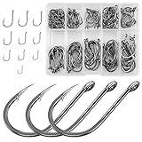Jinlaili Anzuelos de Pesca, 100 PCS Anzuelos de Pesca en 10 Tamaños, Anzuelos de Púas, Pesca Gancho de Acero al Carbono con Caja de Plástico, 3# - 12#