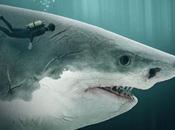 Megalodón: Datos sobre terrorífico Depredador Prehistórico Océanos