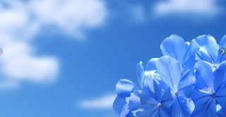 La influencia de la luz azul en el sueño.