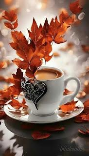 5.646 - LA MANO ANCIANA...