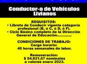 Conductor-a Vehículos Livianos